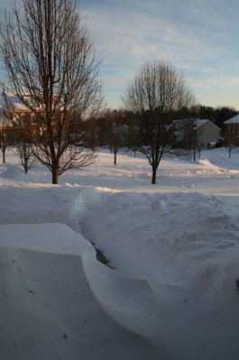 Front yard after snow storm