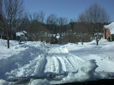 Britten Lane after Feb 2010 blizzard.