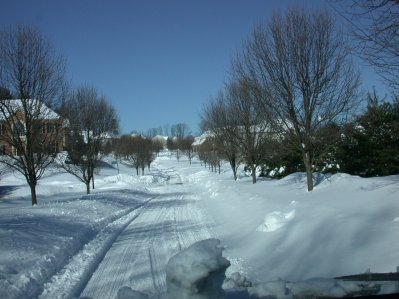 Britten Lane after the snow.